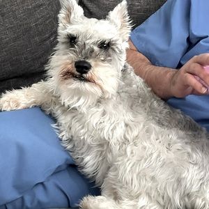 Meet your Posher, Angeline